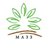 Mazz